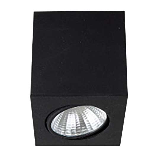 INDOWN-Type-22 LED Downlight Armatür